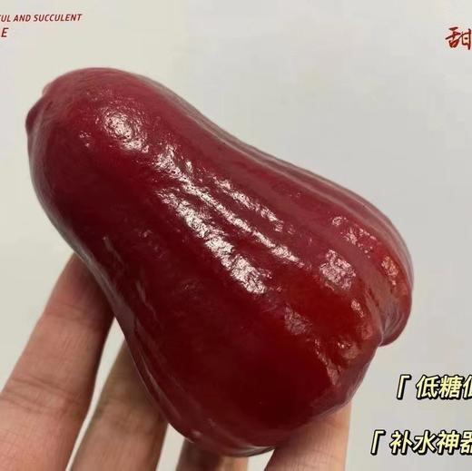 海南黑金刚莲雾大果（500g/盒） 商品图0
