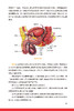 美好青春我做主 大学生艾滋病与性健康知识手册 中国性病艾滋病防治协会等编 应知应会性健康知识 人民卫生出版社9787117348683 商品缩略图4