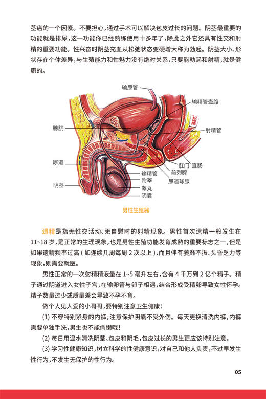 美好青春我做主 大学生艾滋病与性健康知识手册 中国性病艾滋病防治协会等编 应知应会性健康知识 人民卫生出版社9787117348683 商品图4