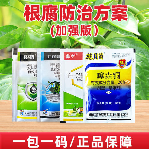 新根腐防治方案作物死棵烂苗根腐病软腐病姜瘟病角斑病专用杀菌剂 商品图3