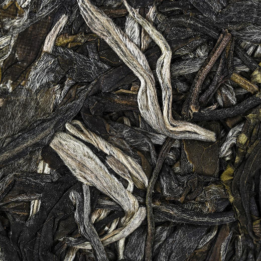 【老曼峨】2023年头春头采班章茶区老曼峨纯料苦过之后刻骨铭心的甜357克/饼 商品图2