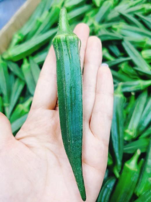 秋葵一斤（拼团） 商品图1