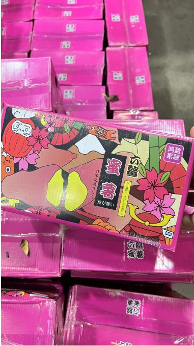 六鳌蜜薯一箱（拼团） 商品图1