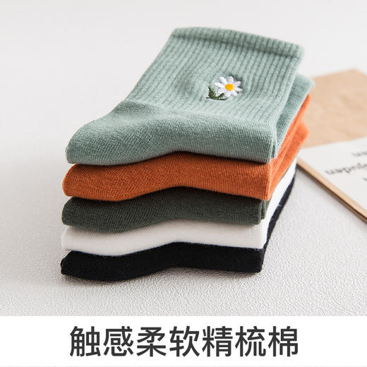 爱帝女士中筒袜刺绣小菊花女袜5双装 商品图4