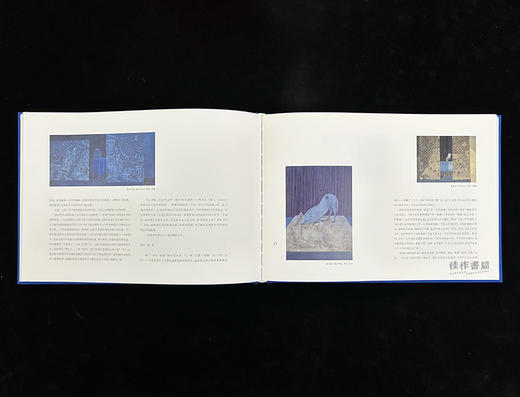 世界的壳：作家与徐累 & 赋格 徐累个展（2015.09.19-2015.12.13）苏州博物馆特展 商品图6