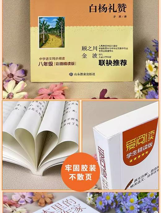 爱阅读·课本里的作家 白杨礼赞 八年级  商品图2