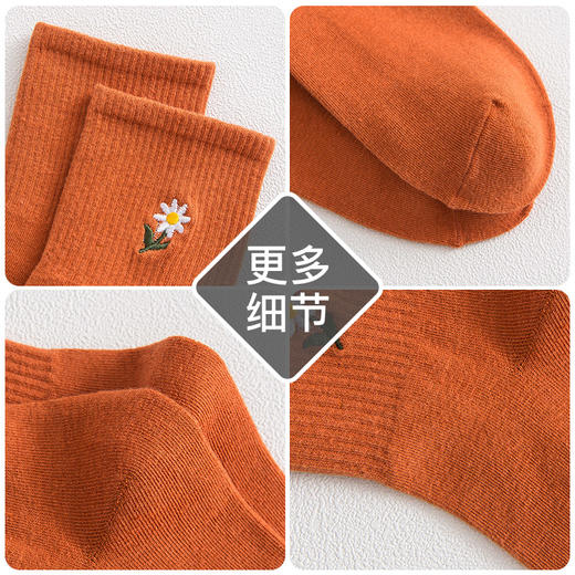 爱帝女士中筒袜刺绣小菊花女袜5双装 商品图5