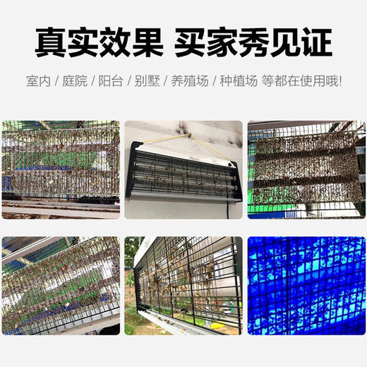 【KL】灭蚊灯 6w 商品图3