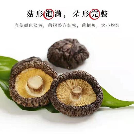 恩施 【832】宣恩县毛坡营高山香菇200g/袋 商品图0