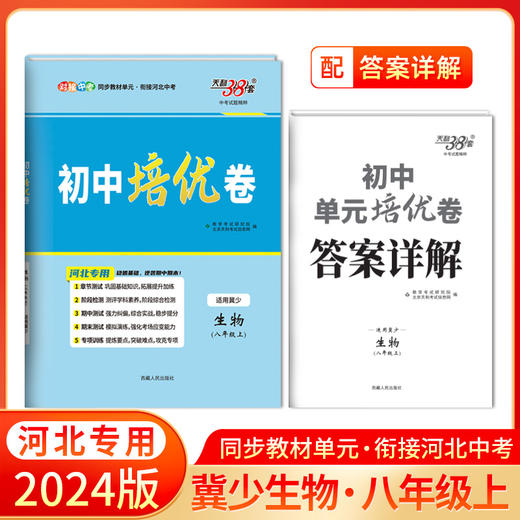 天利38套 2024河北初中单元培优卷 八年级上 商品图4