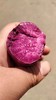 山东沂蒙山紫罗兰紫薯（5斤1箱，顺丰快递） 商品缩略图1