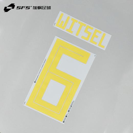 【印制风险自担】SFS: 2018俄罗斯世界杯 比利时主场/客场 球员印号系列 商品图1