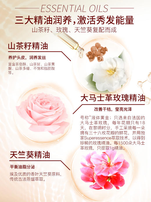 舒蕾 山茶花莹亮去屑洗发露800ml 商品图5