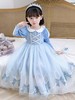 【冰雪奇缘爱莎公主裙】春秋新款，女童爱沙长裙，儿童洋气裙子纱裙连衣裙lish 商品缩略图0