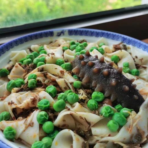 大连野生辽刺参(海参) | 深海捕捞 | 公平贸易 | 基地直发包邮 * Dalian Wild Liaoning Sea Cucumber 商品图1