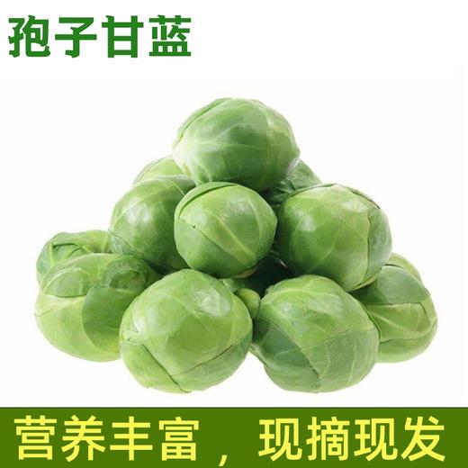 【新鲜采摘！孢子甘蓝小包菜】农地直供，新鲜蔬菜！迷你沙拉蔬菜坏单包赔-觅食坊 商品图3