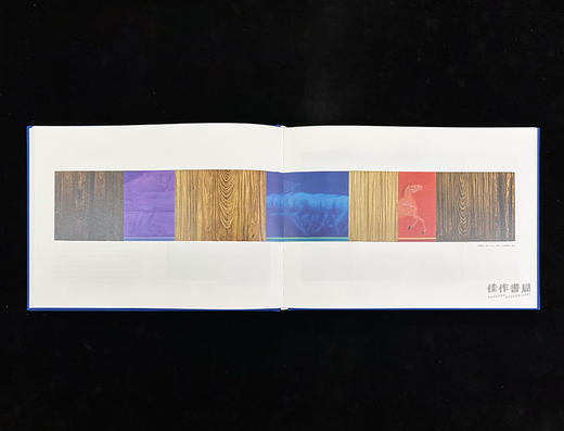 世界的壳：作家与徐累 & 赋格 徐累个展（2015.09.19-2015.12.13）苏州博物馆特展 商品图9