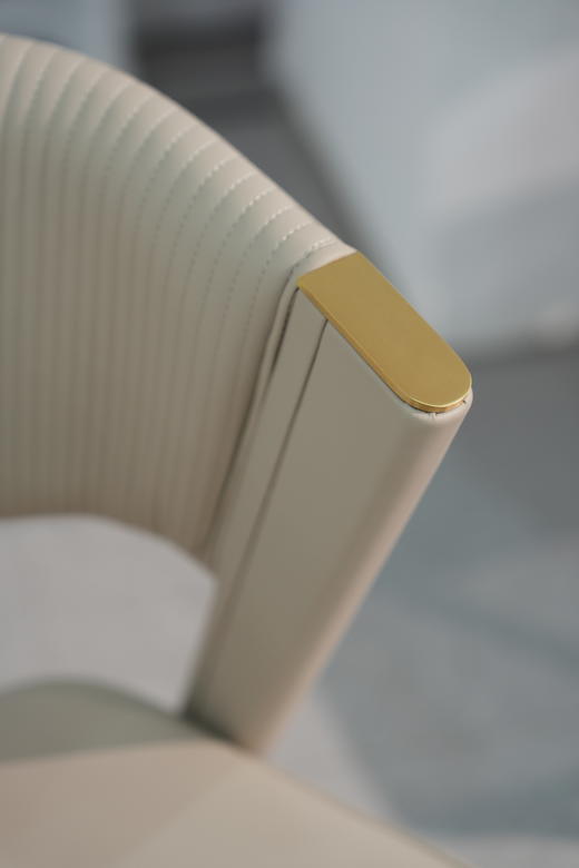 【餐椅】A22526 高定轻奢大户型推荐 商品图4