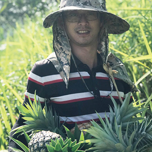 生态凤梨干 | 无硫熏无添加  | 合作生产*Ecological dried pineapple 商品图3