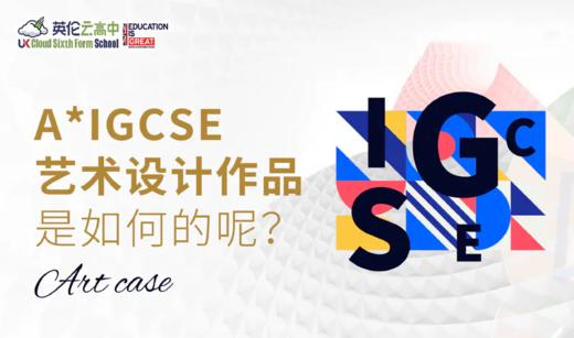 【经典案例】A* IGCSE艺术设计作品优秀案例 商品图0