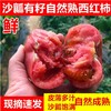 【口感鲜美！现摘新鲜沙瓤西红柿】新鲜水果自然熟番茄农家生吃大番茄3/5斤 节日送礼物优选-觅食坊健康 商品缩略图0