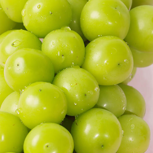 崇西明珠阳光玫瑰葡萄2.5kg 商品图2