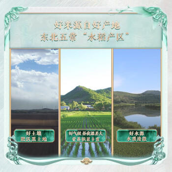 柴火大院 有机五常大米 5kg (东北大米 五常稻香米 十斤) 商品图0