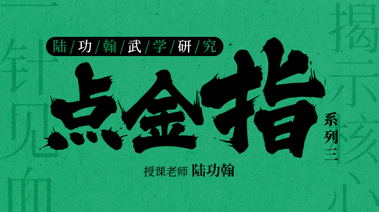 陆功翰武学研究——【点金指系列】（三）