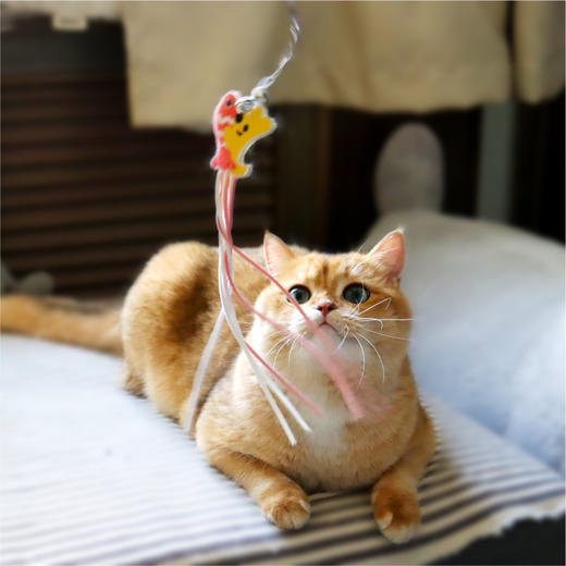 宠物系列团团系列逗猫棒钓猫神器 商品图0