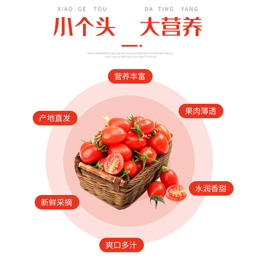 连州红甜心圣女果4斤 商品图3