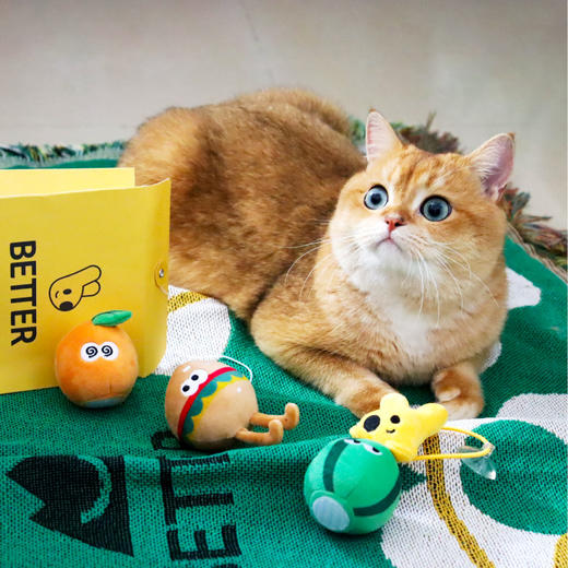 宠物系列玩具套装 商品图1