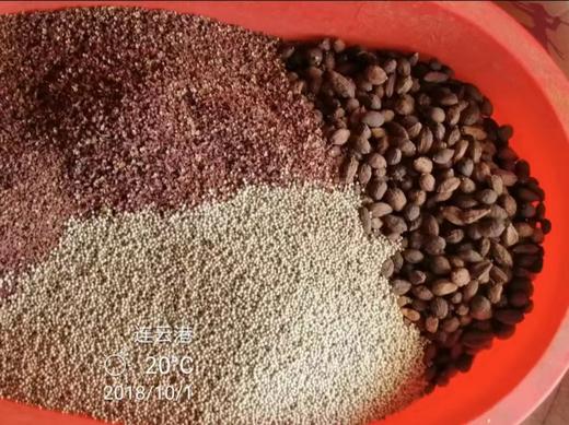 中Z炒面料 商品图0