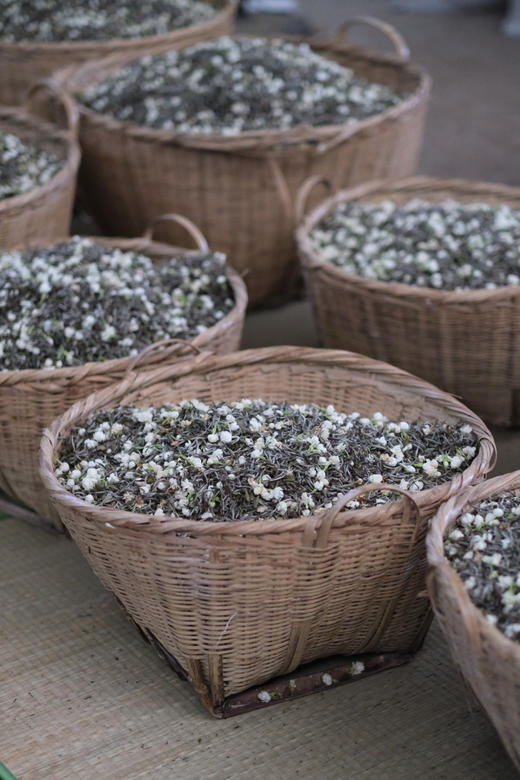 【魏老师私房茶，茉莉系列/茉莉银针&茉莉小金芽】古法纯手工私茶 一茶难求！私藏的福鼎工艺白毫银针 蒙山茶园的自制发酵红茶 商品图13