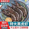 【让您品尝到新鲜的海鲜美味！新鲜黑虎虾特大虾】鲜活冷冻超大虾纯野生老虎虾九节虾海鲜顺丰 节日送礼物优选-觅食坊健康 商品缩略图0