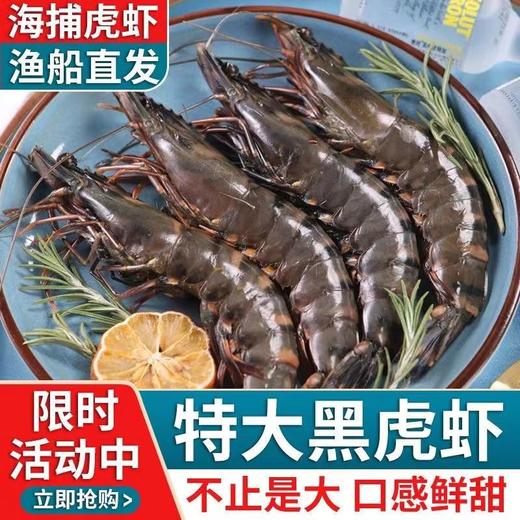 【让您品尝到新鲜的海鲜美味！新鲜黑虎虾特大虾】鲜活冷冻超大虾纯野生老虎虾九节虾海鲜顺丰 节日送礼物优选-觅食坊健康 商品图0