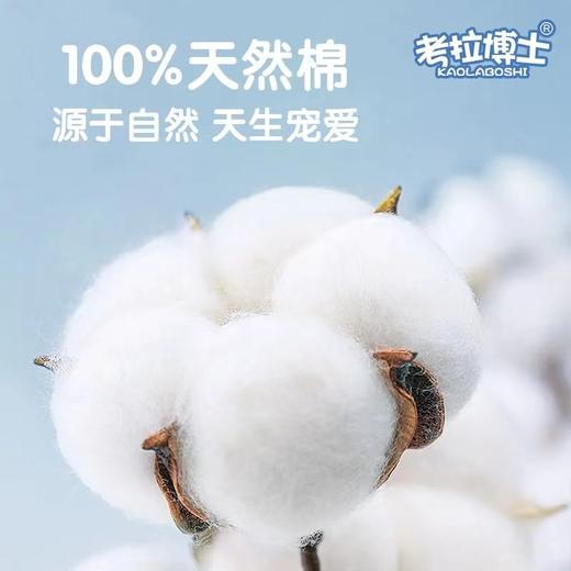 考拉博士加厚加大一次性绵柔巾 商品图3