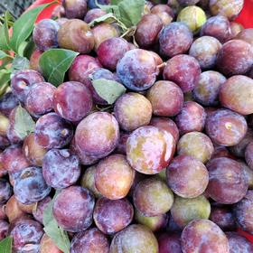 【脆甜多汁】本地红李 约500g/份