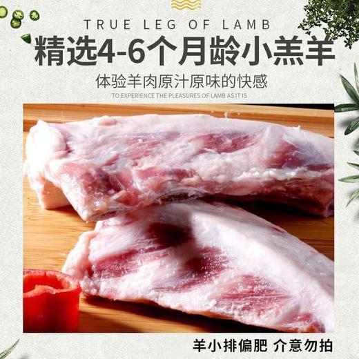 【肥美可口！新鲜羊排】羊排尖羊小排羔羊肋排羊胸骨脆骨羔羊新鲜烧烤羊排块羊排骨羊肉 节日送礼物优选-觅食坊健康 商品图2