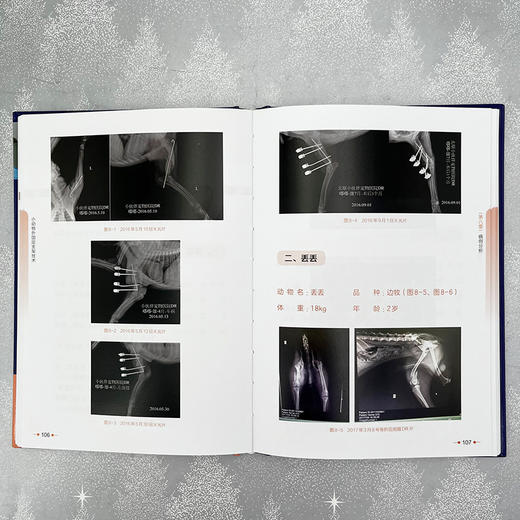 小动物外固定支架技术 商品图2