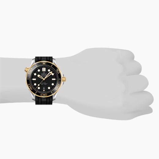 欧米茄 OMEGA 海马系列 300米潜水表 42毫米至臻天文台表 210.22.42.20.01.001 商品图2