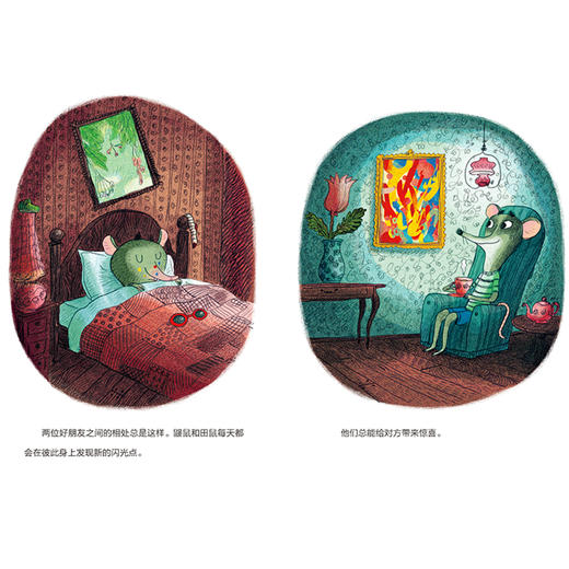 《仙人掌感受世界桥梁书 鼹鼠和田鼠系列》（全3册） 商品图6