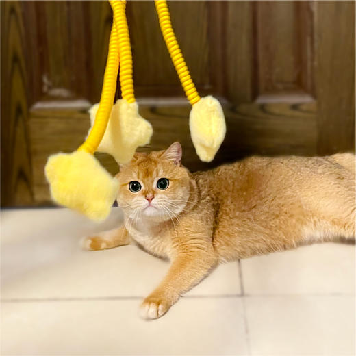 宠物系列弹弹乐玩具 商品图1