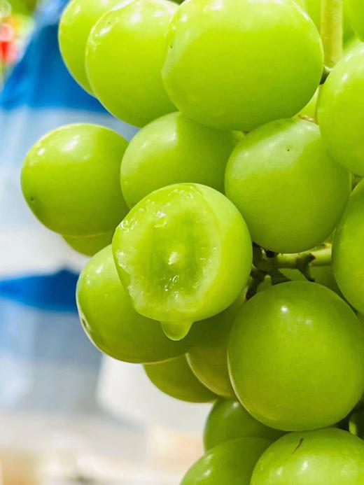 有机阳光玫瑰，入口的那一刻满足感和愉悦是一颗无籽且自带玫瑰香气的阳光玫瑰葡萄所带来的☀️ 串形很漂亮的阳光玫瑰，颗颗饱满！皮薄不用吐，也不涩，脆脆的果肉迸发出迷人的玫瑰花香和甜！3斤/份 商品图0