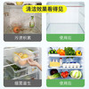 英国vilosi 冰箱清洗剂300ml/瓶  添加生物酶，清洁干净；植物添加，母婴放心用，健康无害；无需用水，长效防护，净化异味，清洁抑jun。 商品缩略图5