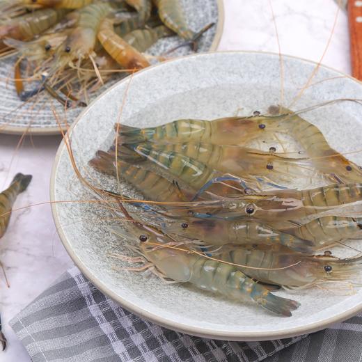 鲜活罗氏沼虾（一斤装） 商品图3