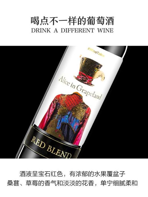 【官方正品】奥兰爱丽丝干红葡萄酒 12.5度750ml*6 西班牙原瓶原装进口 商品图1