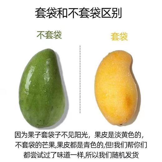 【鲜甜多汁！新鲜大青芒】细腻爽口。一口咬下去，满嘴都是果肉的香甜，让你爱不释口。9斤装整箱热带水果新鲜大芒果甜心芒金黄 节日送礼物优选-健康 商品图2