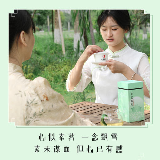 龙芽大师牌素茗飘雪.知心 商品图1