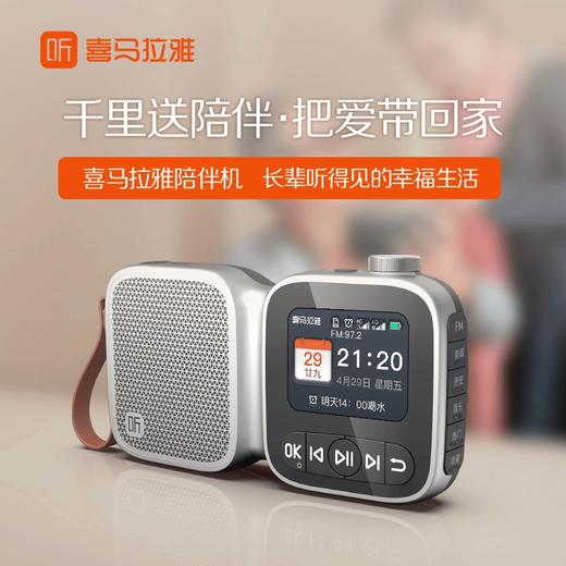【积分兑换】陪伴机 银色 商品图0