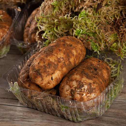 【果蔬精选】昭通彝良小草坝天麻 新鲜天麻 个大饱满 肉质肥厚 煲汤泡酒 做法多样 商品图3